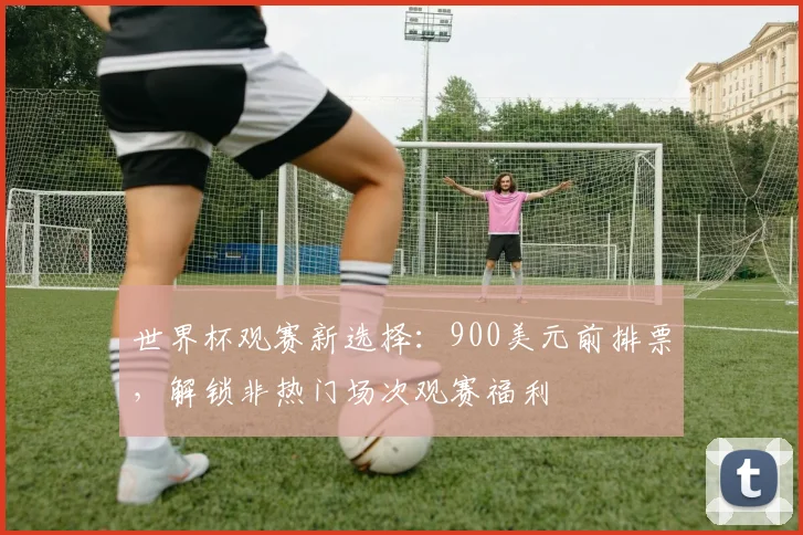世界杯观赛新选择:900美元前排票,解锁非热门场次观赛福利
